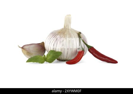 Bulbe d'ail entier avec deux gousses d'ail à proximité de deux piments rouges, accompagné d'une branche de feuilles de basilic isolé sur fond blanc Banque D'Images