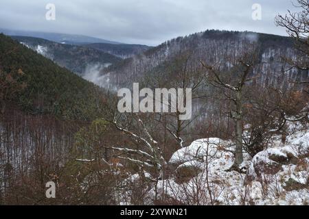 Vue sur les montagnes du Harz si brouillard hivernal, Allemagne, Europe Banque D'Images