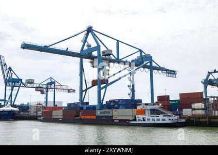 Grue charge conteneur sur le navire au port de fret de Rotterdam Rotterdam pays-Bas - 9 juillet 2024 : terminal de fret dans le port de fret et industriel de Rotterdam. Deux grues chargent et déchargent deux porte-conteneurs avec divers conteneurs amarrés au quai. Edit netherlands rotterdam container port B97A6662 Banque D'Images