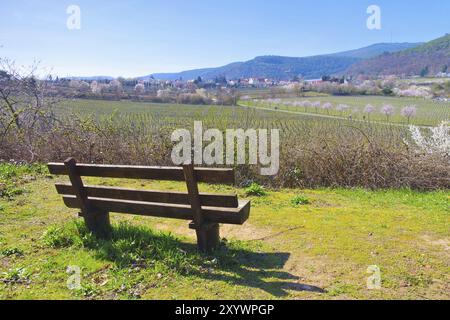 Landschaft rund um Gimmeldingen waehrend der Mandelbluete im Fruehling, paysage autour de Gimmeldingen pendant la floraison des amandiers au printemps, Allemagne, UE Banque D'Images