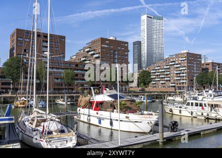 Rotterdam Marina, derrière des immeubles résidentiels de grande hauteur à Spoorweghaven, port de plaisance, bateaux à voile, yachts à moteur, dans le port intérieur, Banque D'Images