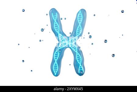 Gènes et chromosomes humains, rendu 3D. illustration 3d. Banque D'Images