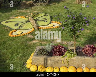 Un grand papillon fait de citrouilles et de foin comme décoration de jardin à côté d'un parterre de fleurs, borken, muensterland, Allemagne, Europe Banque D'Images