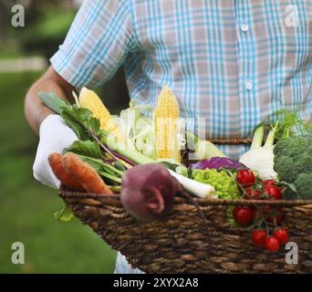 Panier rempli de légumes frais dans les mains d'un homme portant des gants Banque D'Images