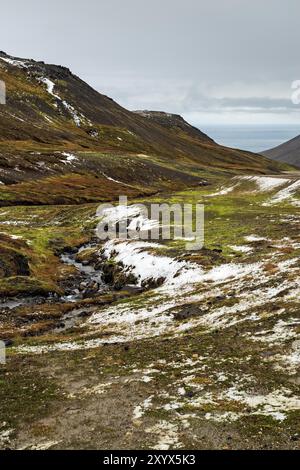 Montagnes et vue sur l'océan à Borgarfjordur Eystri dans l'est de l'Islande par une journée nuageuse Banque D'Images