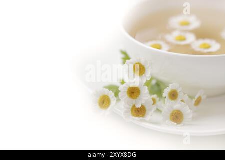 Tasse avec thé de camomille sur fond blanc Banque D'Images