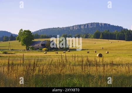 Grande grange à foin en Silésie, Pologne, montagnes Stolowe en Silésie, Pologne, Europe Banque D'Images