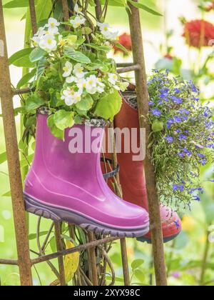 Deux bottes en caoutchouc colorées comme pots de fleurs sur un treillis dans le jardin, Bad Lippspringe, Allemagne, Europe Banque D'Images