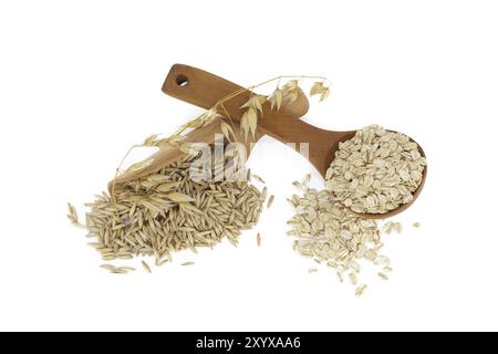Grains d'avoine avec des coques ou des feuilles en bois et gruaux d'avoine roulés et aplatis en flocons dans une cuillère en bois isolée sur fond blanc Banque D'Images