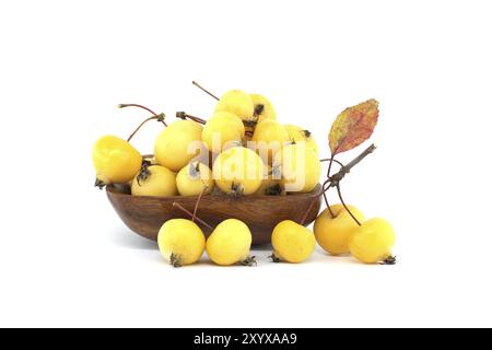 Pomme de crabe ou pomme sauvage européenne isolée sur fond blanc. Les pommes sauvages sont menacées d'extinction Banque D'Images