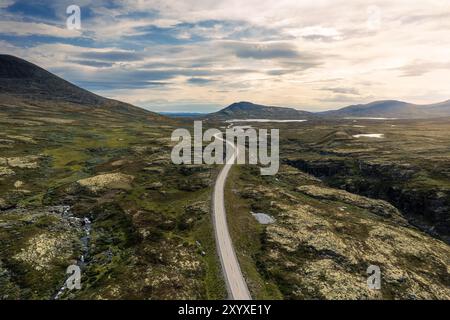 Vue aérienne de la route sinueuse à travers le paysage luxuriant du parc national de Rondane, sous une lueur dorée brillante du soleil, la beauté naturelle de la Norvège Banque D'Images