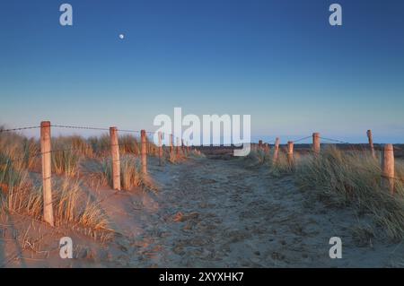 Lumière chaude du coucher du soleil et lune sur le chemin de sable dans les dunes Banque D'Images