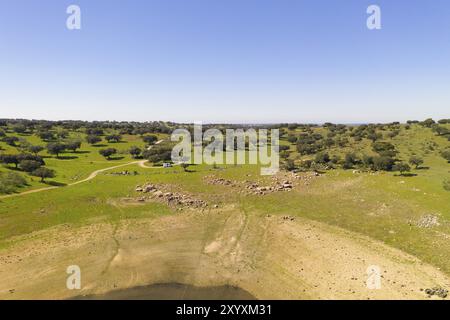 Barrage lac réservoir drone vue aérienne du paysage d'oliviers Barragem do Caia Dam en Alentejo, Portugal, Europe Banque D'Images