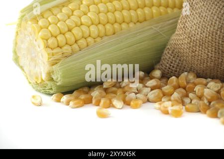 Corn kernels spilling from a hessian bag near fresh maize or corn on the cob with leaves, selective focus, agriculture and harvest concept Stock Photo