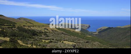 Paysage sur la péninsule de Banks, Nouvelle-Zélande. Baie d'Otanerito Banque D'Images