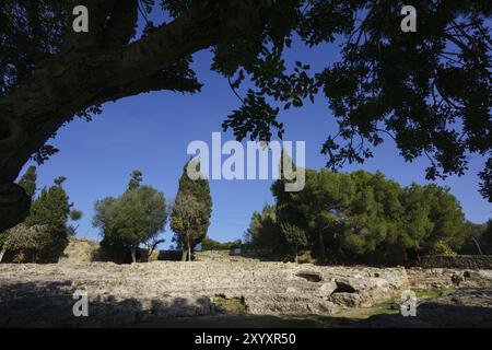 Theather, ville romaine de Pollentia, ère républicaine, 123 av. J.-C., fondée par Quintus Caecilius Metellus, Alcudia, Majorque, Îles Baléares, Espagne, Europe Banque D'Images