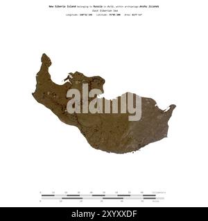 Nouvelle île de Sibérie en mer de Sibérie orientale, appartenant à la Russie, isolée sur une image satellite prise le 12 septembre 2020, avec échelle de distance Banque D'Images