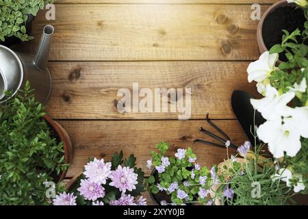 Vue de dessus sur le jardinage, les outils et l'équipement d'aménagement paysager, différentes fleurs et diverses herbes dans des pots sur fond de bois brun plat. COP vide vierge Banque D'Images