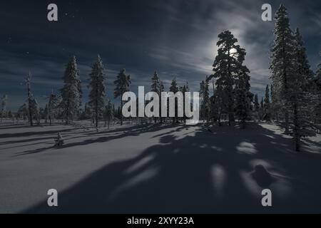 Paysage hivernal au clair de lune, Muddsus Nationalaprk, site du patrimoine mondial de Laponie, Laponie, Suède, novembre 2017, Europe Banque D'Images