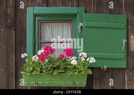 Petite fenêtre à une cabane de montagne avec géraniums Banque D'Images