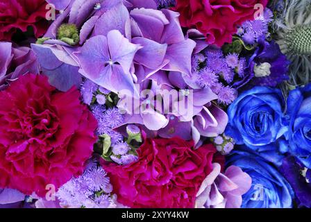 Roses violettes et bleues et roses dans un bouquet Banque D'Images