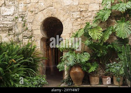 Bains arabes, Banys Arabs, portail en arc de fer à cheval, 10ème siècle, Palma, Majorque, Îles baléares, espagne Banque D'Images