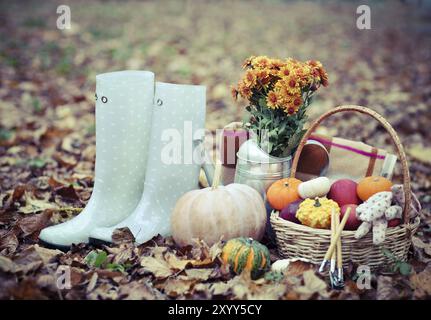 Automne Nature morte avec différentes couleurs et en forme de citrouilles Banque D'Images