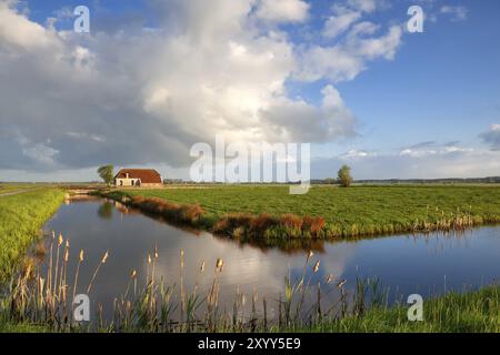 Petite maison, rivière, et nuages gonflés blancs sur le ciel bleu Banque D'Images