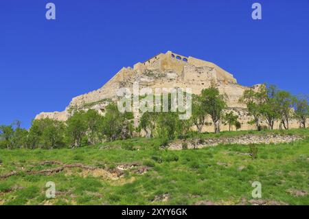 Die Alte mittelalterliche Stadt Morella, Castellon en Espagne, la vieille ville médiévale de Morella, Castellon en Espagne Banque D'Images