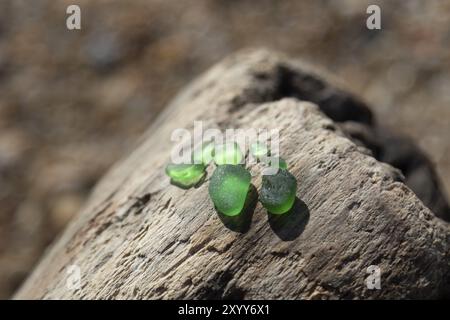 Gros plan de fragments de verre vert lavés ronds sur un morceau de bois flotté à Praia do Molhe à Nevogilde, région Norte, district de Porto, Portugal, Europe Banque D'Images