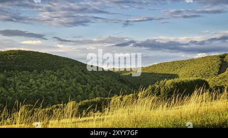 Coucher de soleil dans la Sarre sur un pré avec des arbres et vue sur la vallée. Une ambiance lumineuse et chaleureuse dans l'orange, le rouge et l'or Banque D'Images