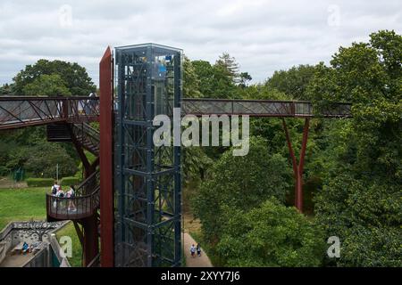 Le Xstrata Treetop Walkway à Kew Gardens, Greater London UK Banque D'Images