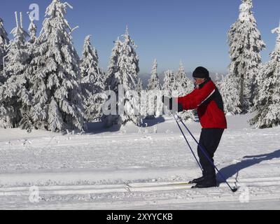 Le ski de fond Banque D'Images