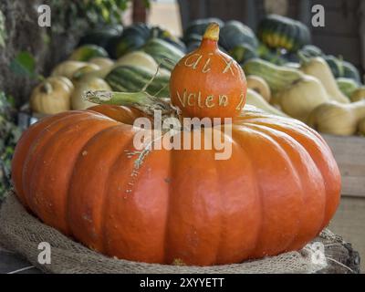 Une grande citrouille orange avec lettrage se dresse sur une table entourée d'autres citrouilles, borken, muensterland, Allemagne, Europe Banque D'Images