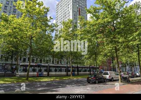 Écologisation urbaine, rue du centre-ville Laan op Zuid, dans le quartier Feijenoord de Rotterdam, 4 voies, 2 pistes de tramway, pistes cyclables des deux côtés, trottoirs et p Banque D'Images