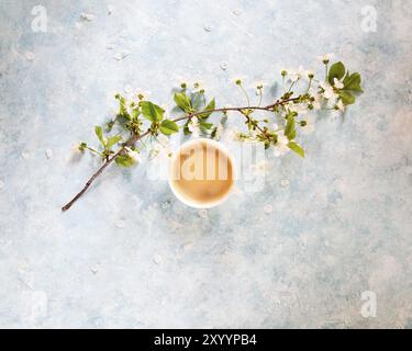 Vue de dessus de tasse de café noir et de fleurs blanches et de la direction générale des fleurs sur fond bleu clair. Mise à plat, vue du dessus Banque D'Images