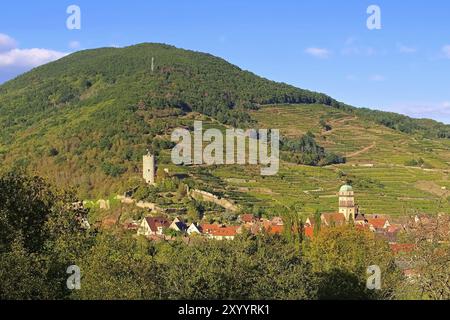 Vignoble et paysage urbain Kaysersberg en Alsace, France, vignoble et paysage urbain Kaysersberg, Alsace en France, Europe Banque D'Images