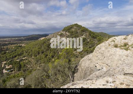 Sierra de Galdent, Llucmajor, Majorque, Îles baléares, espagne Banque D'Images