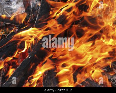 Close-up de feu chaud et lumineux Banque D'Images