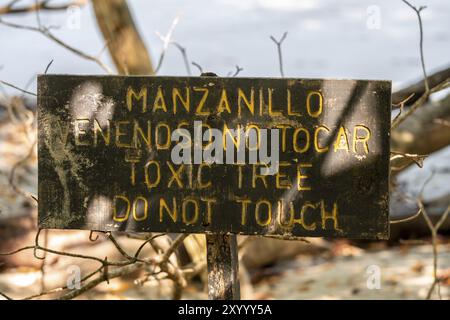 Panneau d'avertissement pour arbre vénénéneux arbre manchinel (Hippomane mancinella), ne pas toucher, Parc National Manuel Antonio, district de Puntarenas, Costa Rica, ce Banque D'Images