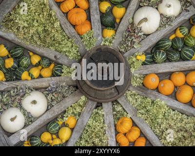 Roue en bois photographiée d'en haut, décorée de nombreuses citrouilles colorées et de fleurs séchées, atmosphère automnale, borken, muensterland, Allemagne Banque D'Images