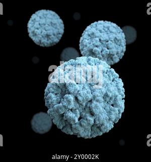 Illustration 3D de virions norovirus placés sur fond noir. Cette recréation artistique est basée sur l'imageur au microscope électronique à balayage (MEB) Banque D'Images