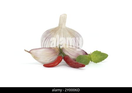 Bulbe d'ail entier avec deux gousses d'ail à proximité de deux piments rouges, accompagné d'une branche de feuilles de basilic isolé sur fond blanc Banque D'Images