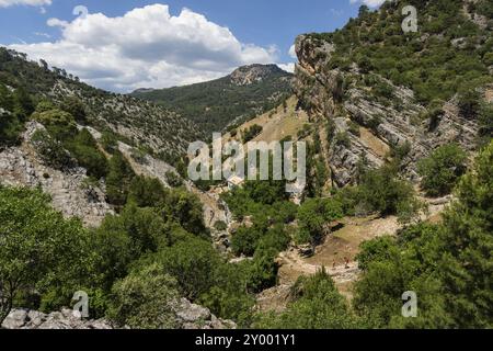 Ruta del rio Borosa, parque Natural sierras de Cazorla, Segura y Las Villas, Jaen, Andalousie, Espagne, Europe Banque D'Images