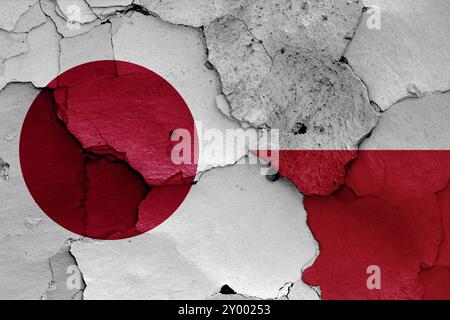 Drapeaux du Japon et de la Pologne Banque D'Images