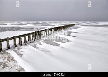 Vieux brise-lames en bois sur Ijsselmeer gelé en hiver, pays-Bas Banque D'Images