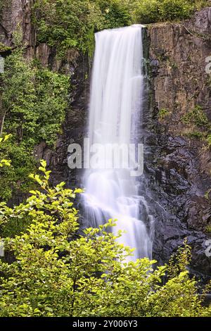 Ruisseaux suédois, rivières avec petites et grandes cascades dans une nature intacte. loisirs, aventure et beaucoup de détente dans une nature incomparable Banque D'Images