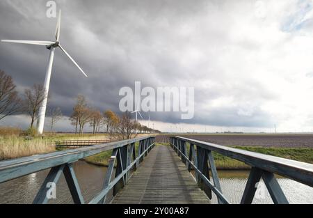 Éoliennes sur des terres agricoles néerlandaises au soleil, Flevoland, pays-Bas Banque D'Images