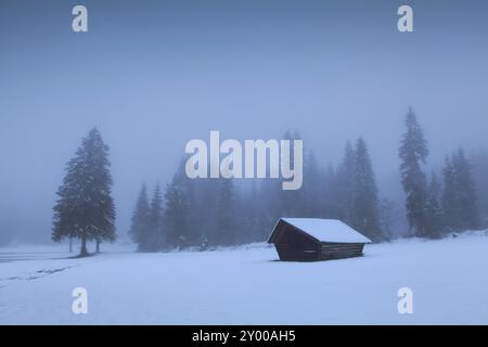 Vieille cabane en bois dans la forêt d'hiver brumeuse, Allemagne, Europe Banque D'Images