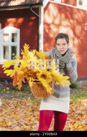 Jeune femme attrayante recueille les feuilles d'automne dans un panier. En arrière-plan une maison en bois rouge suédoise caractéristique. Femme attirante collectionnant au Banque D'Images